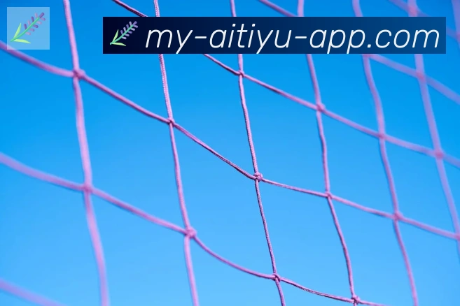 App 展示图